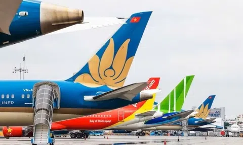 Biến động nhiên liệu 'bào mòn' hãng bay Việt