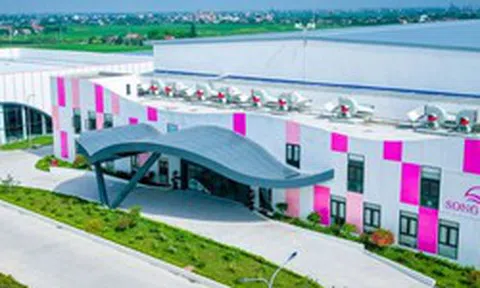 May Sông Hồng sắp chia cổ tức bằng tiền mặt tỷ lệ 10%