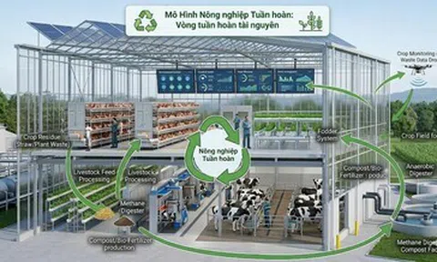 TP.HCM: 5 giải pháp hướng đến chăn nuôi công nghệ cao, nông nghiệp tuần hoàn