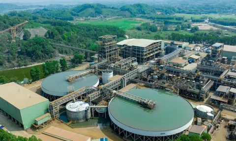 MSR hướng đến tăng trưởng dài hạn sau giai đoạn phục hồi