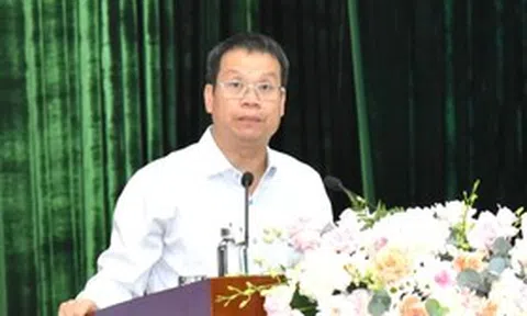 Chủ tịch Đà Nẵng: Không để vướng mắc nhỏ làm mất cơ hội lớn của doanh nghiệp