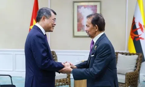 Tăng cường quan hệ hữu nghị và hợp tác Việt Nam với các nước ASEAN và ADB