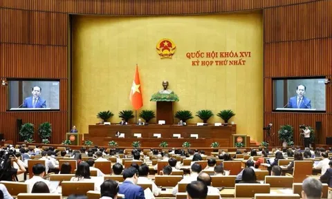 Thí điểm chế định luật sư công tại 8 bộ và 10 địa phương từ ngày 1/10