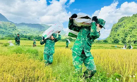 Ảnh: Thấm đẫm tình quân dân trên cánh đồng biên giới