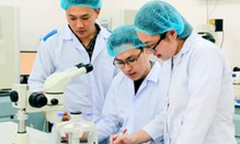 Bộ Nội vụ đề xuất các trường hợp nhân tài vào cơ quan  Nhà nước được hưởng phụ cấp 300%