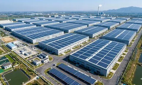 HEPZA TP.HCM đề nghị các doanh nghiệp đẩy mạnh sử dụng năng lượng xanh