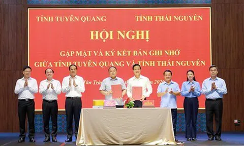 Hai tỉnh Thái Nguyên và Tuyên Quang trao đổi công tác, thúc đẩy hợp tác phát triển