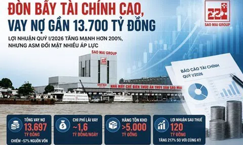 Tập đoàn Sao Mai gánh gần 13.700 tỷ đồng nợ vay, mỗi ngày trả 1,6 tỷ đồng lãi ngân hàng