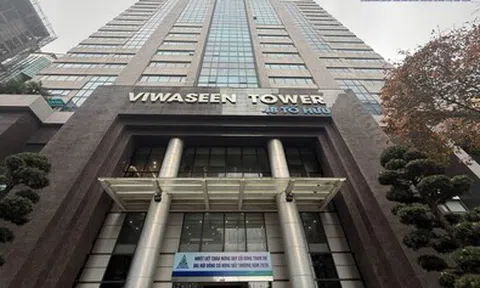 Viwaseen làm ăn thế nào sau khi về tay Vinaconex?