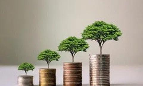 Loạt doanh nghiệp chốt quyền trả cổ tức trong tuần từ ngày 11/5-15/5