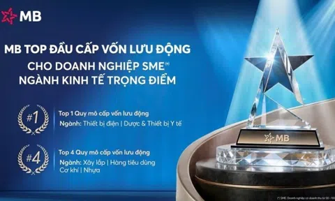 MB – Ngân hàng top đầu Quy mô dư nợ cho vay ngắn hạn đối với doanh nghiệp SME thuộc ngành kinh tế trọng điểm