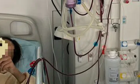 Ăn món "vạn người mê" suốt 10 ngày, người đàn ông 28 tuổi máu đặc như siro