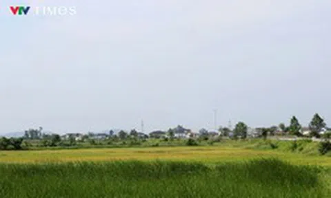 Nghệ An: Nhanh chóng tháo gỡ “nút thắt” dự án khu công nghiệp hơn 1.300 tỷ đồng