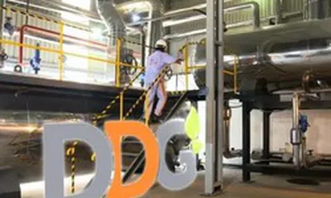 DDG đối diện nguy cơ hủy niêm yết sau chuỗi kinh doanh thua lỗ kéo dài