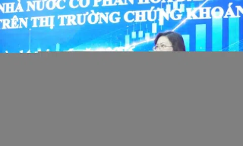 Gỡ khó cho doanh nghiệp Nhà nước chưa đủ chuẩn công ty đại chúng