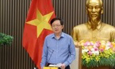 Xử lý nghiêm hành vi mua bán mã số vùng trồng, bảo vệ uy tín nông sản Việt