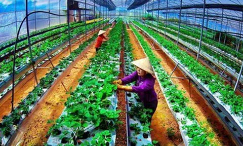 Hà Nội hướng tới đi đầu cả nước về triển khai kinh tế tuần hoàn