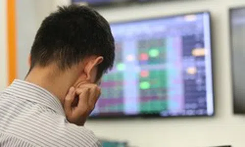 Một nghịch lý đang diễn ra khi VN-Index trên đỉnh lịch sử