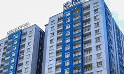 Năm Bảy Bảy muốn bán toàn bộ hơn 315.000 cổ phiếu quỹ