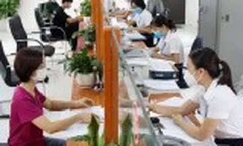 Chỉ đạo, điều hành của Chính phủ, Thủ tướng Chính phủ nổi bật tuần từ 9-15/5/2026