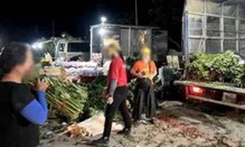 Chủ tịch Hà Nội chỉ đạo kiểm tra vụ chợ 'chui' quy mô lớn hoạt động thâu đêm sau nghĩa trang
