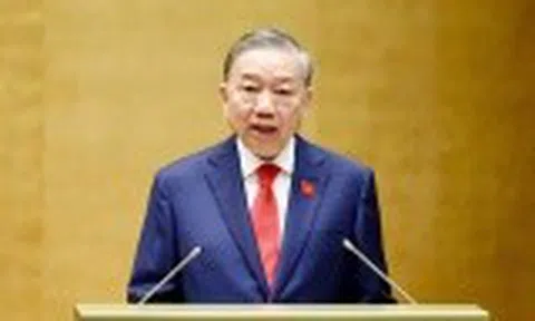 Thư của Tổng Bí thư, Chủ tịch nước Tô Lâm nhân Ngày truyền thống phòng, chống thiên tai