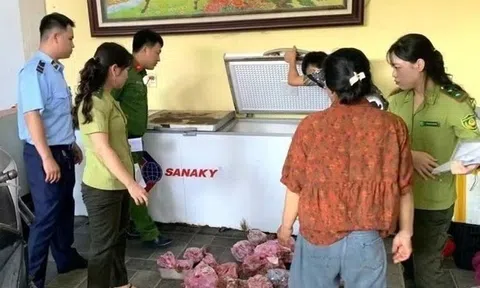 Phát hiện, thu giữ 290 cá thể cò hương cấp đông chờ tiêu thụ