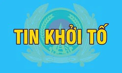 Khởi tố Giám đốc, viên chức Ban Quản lý rừng; Giám đốc, Phó Giám đốc, chủ sở hữu doanh nghiệp