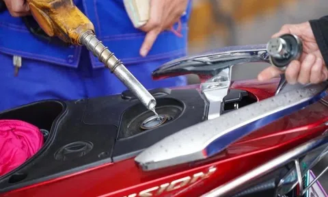 Cổ phiếu xăng dầu bị bán tháo