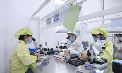 Phú Thọ đặt mục tiêu thu hút thêm 350 - 400 triệu USD vốn FDI trong 8 tháng cuối năm 2026