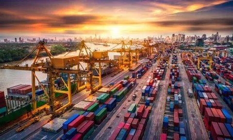 Chuỗi cung ứng toàn cầu biến động mạnh, vận tải Việt Nam đối mặt áp lực chưa từng có