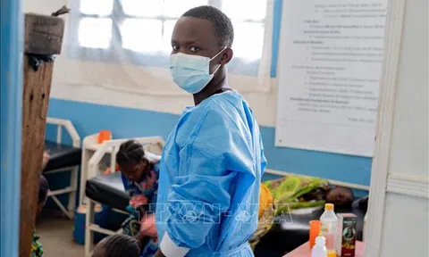 Bổ sung thêm 6 chủng virus mới vào phác đồ điều trị bệnh Ebola