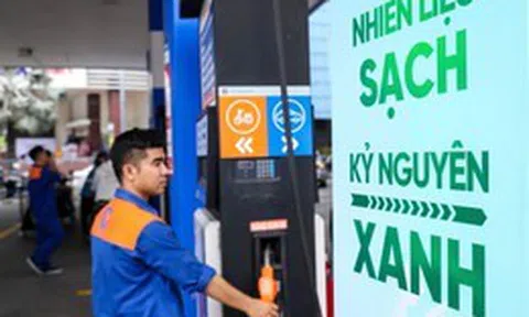 Thứ trưởng Bộ Công Thương: Tất cả loại xe đều phù hợp để sử dụng xăng E10