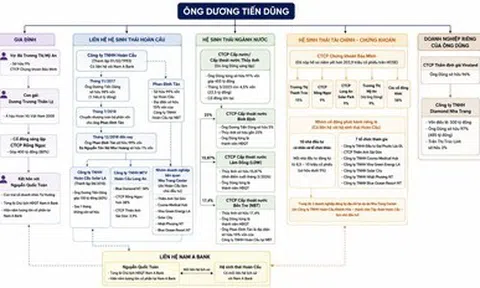 Hé lộ hệ sinh thái của đại gia Dương Tiến Dũng và mối quan hệ với Tập đoàn Hoàn Cầu