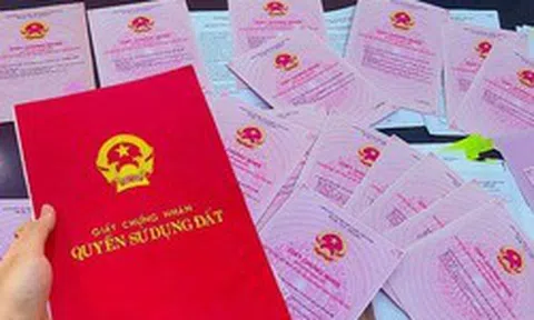 Cơ quan thuế phát thông tin quan trọng đến người sử dụng đất: Chậm làm thủ tục này có thể ảnh hưởng quyền lợi
