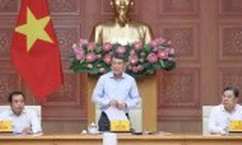 Nhà ở cho thuê được xác định là phân khúc chiến lược dài hạn