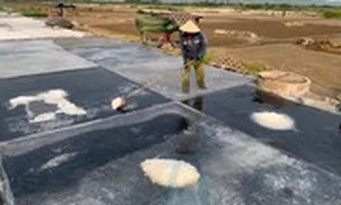 Nhọc nhằn nghề làm muối giữa trời nắng như đổ lửa