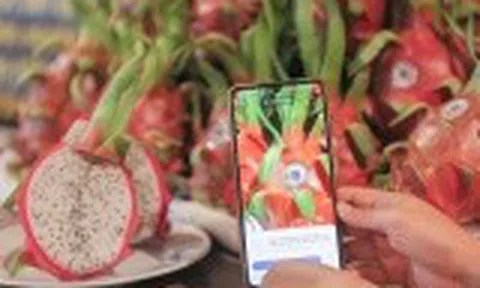 Truy xuất nguồn gốc nông sản: “Hạ tầng mềm” để bứt phá xuất khẩu bền vững
