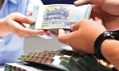 Cứ theo quy định mà làm