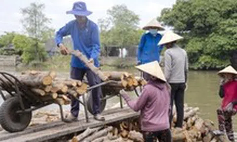 Lênh đênh chợ củi Ngã Bảy
