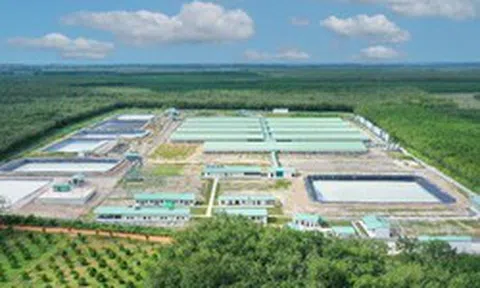 Baf Việt Nam chuẩn bị phát hành hơn 60 triệu cổ phiếu cho cổ đông