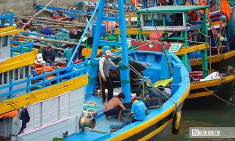 "Khoác áo" nhận diện cho tàu cá, Lâm Đồng hướng tới phát triển bền vững nghề cá
