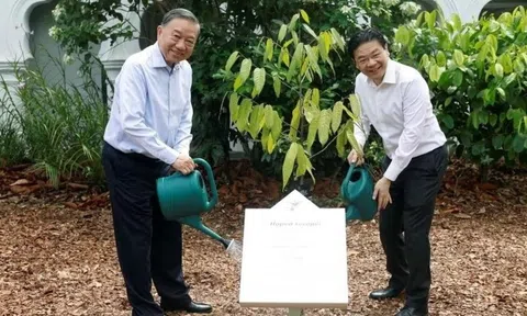 Tổng Bí thư, Chủ tịch nước Tô Lâm và Thủ tướng Singapore dự Lễ trồng cây