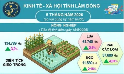 Kinh tế Lâm Đồng 5 tháng đầu năm khởi sắc ở nhiều lĩnh vực