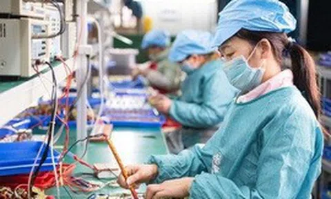 Bức tranh doanh nghiệp 5 tháng qua: Thành lập mới tăng 42%, nhưng số hoàn tất giải thể cũng tăng 99%