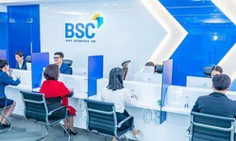 BSC chốt ngày phát hành 24,53 triệu cổ phiếu trả cổ tức