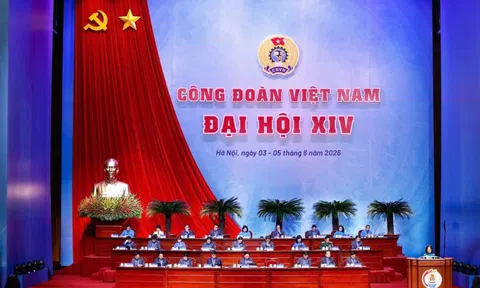 Tập trung nguồn lực xây nhà ở cho công nhân, lao động thuê