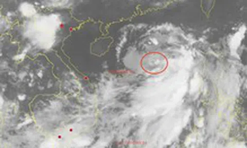 Biển Đông có áp thấp nhiệt đới đầu tiên trong năm 2026