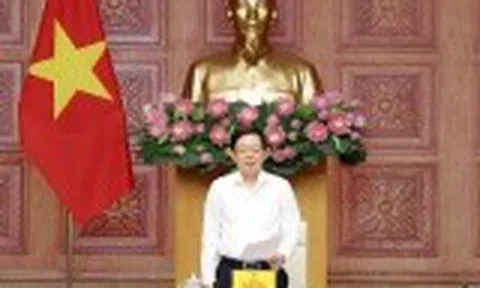 Mở đợt cao điểm mới, siết chặt thực thi quyền sở hữu trí tuệ