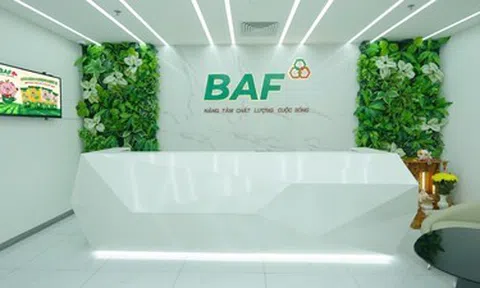 BAF báo lãi hơn 200 tỷ đồng quý I nhưng gánh nặng nợ vay vượt 5.000 tỷ đồng